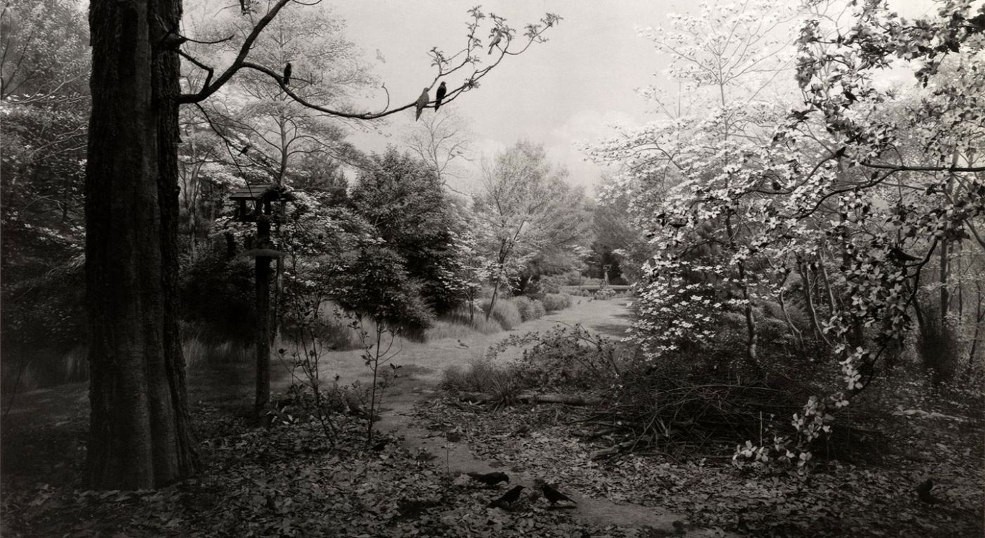 Photographs by Hiroshi Sugimoto: Dioramas, Theaters