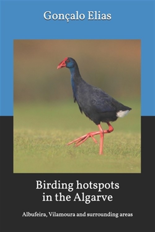 Birding Hotspots in the Algarve: Albufeira, Vilamoura and Surrounding Areas - Elias, Goncalo