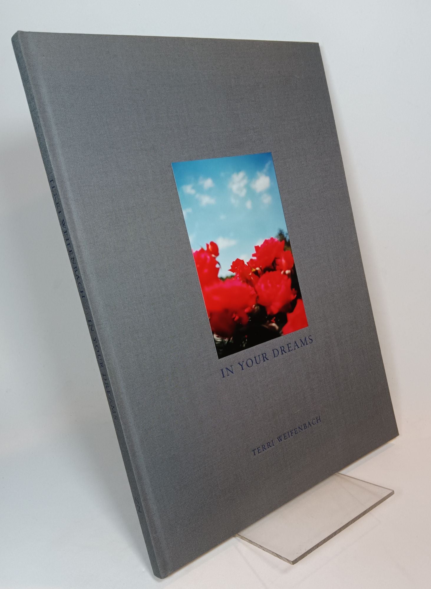 In Your Dreams by WEIFENBACH, Terri: HARDCOVER (1997) 1st In Your Dreams by WEIFENBACH, Terri: HARDCOVER (1997) 1st