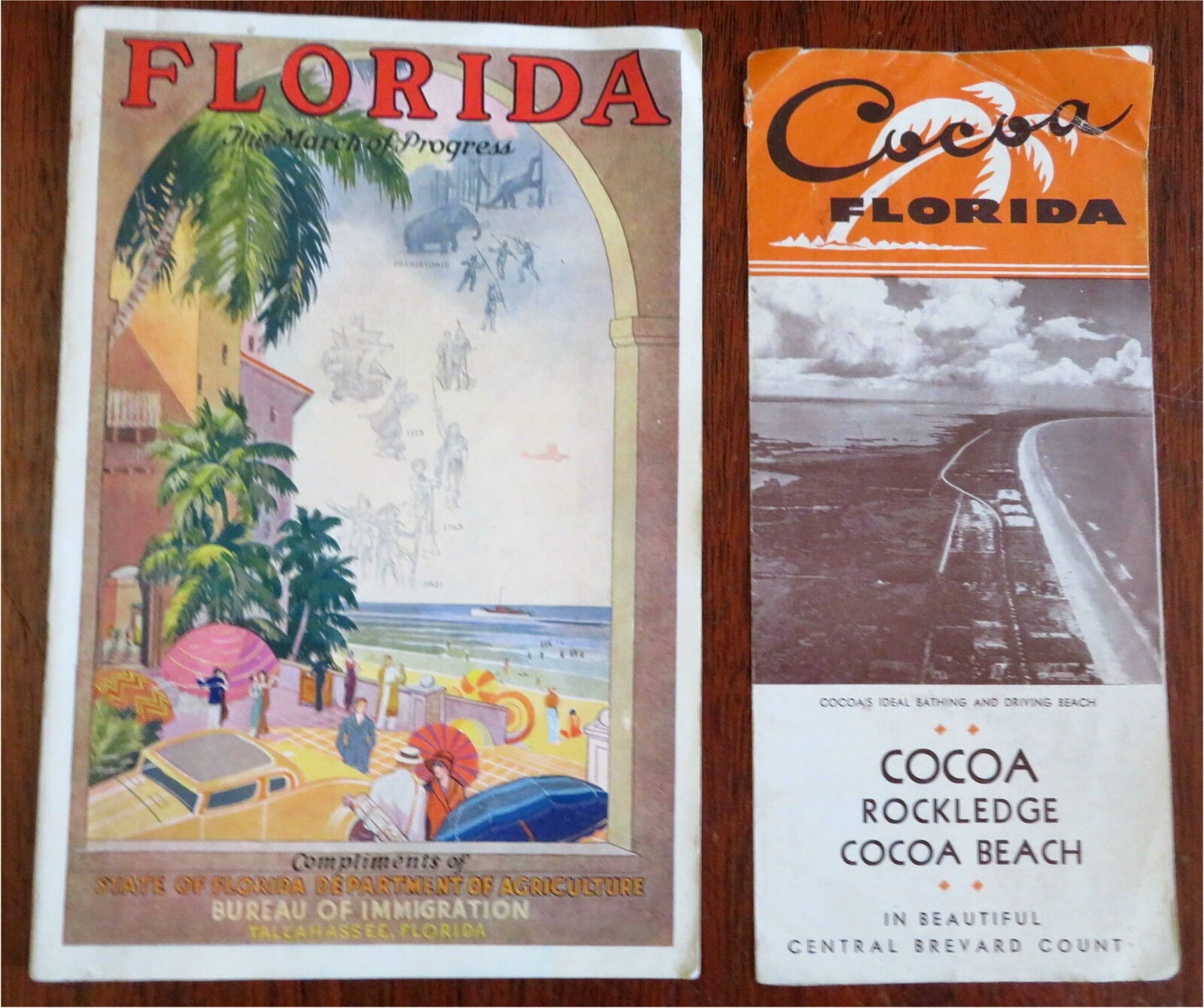 florida travel brochure project