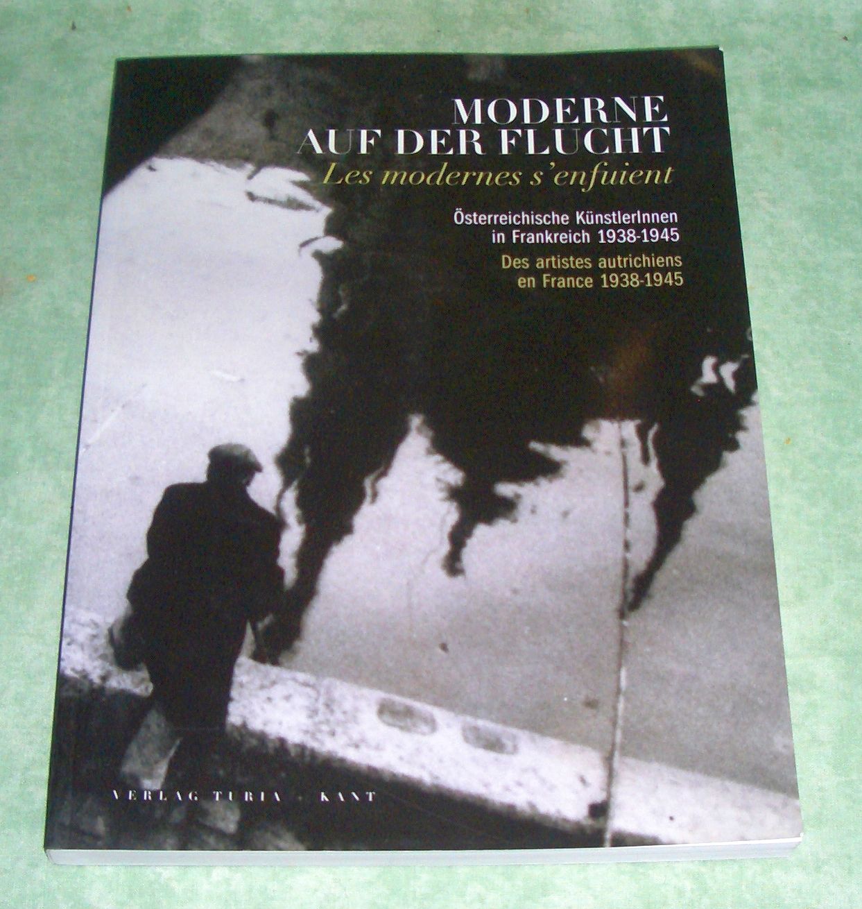 Moderne auf der Flucht. Österreichische KünstlerInnen in Frankreich 1938 - 1945 ; (anlässlich der Ausstellung