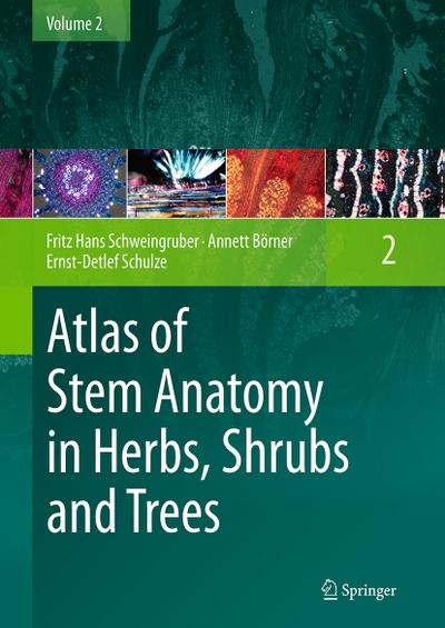 Atlas of Stem Anatomy in Herbs, Shrubs and Trees : Volume 2 - Fritz Hans Schweingruber