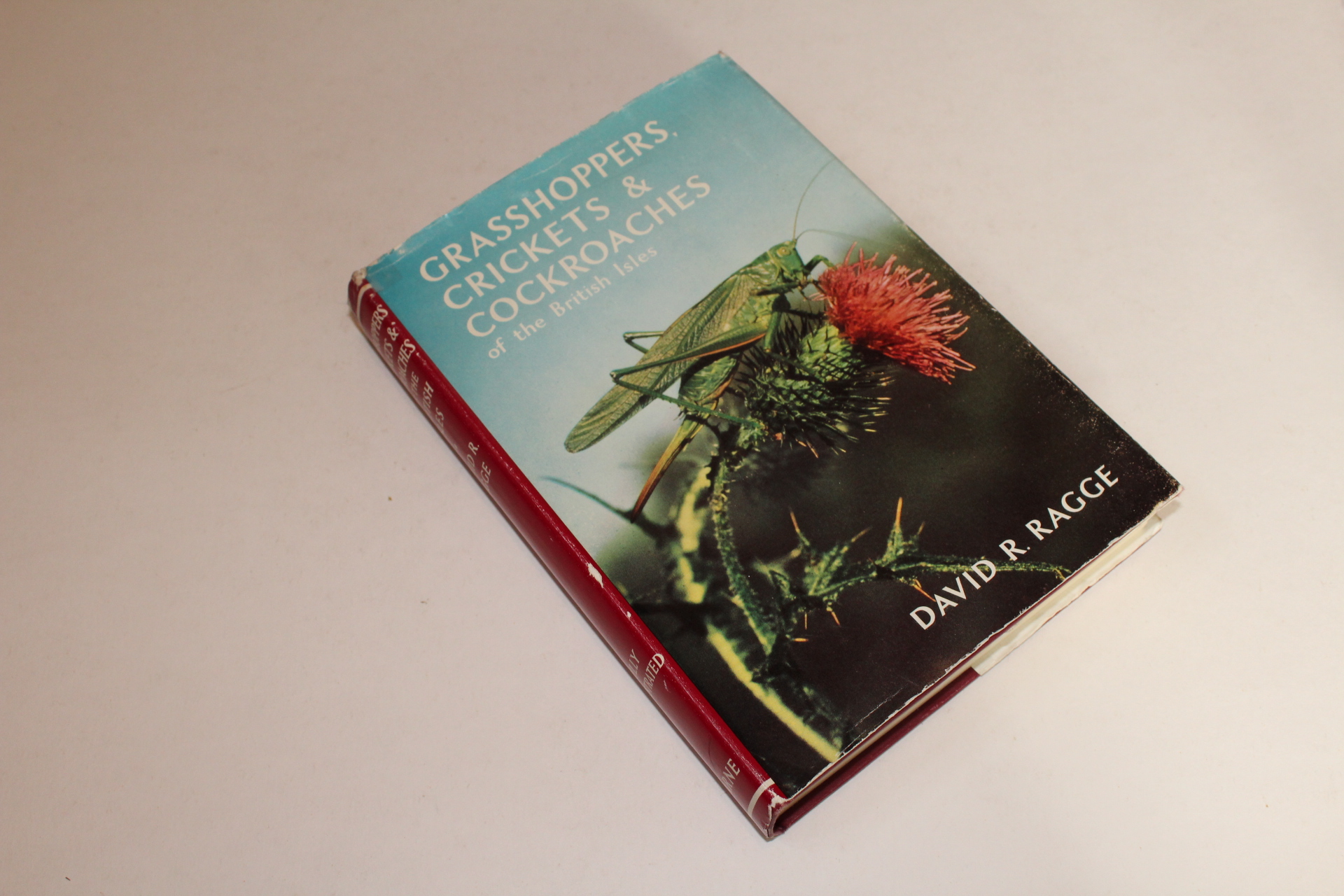 GRASSHOPPERS, CRICKETS & COCKROACHES OF THE BRITISH ISLES. Wayside and ...