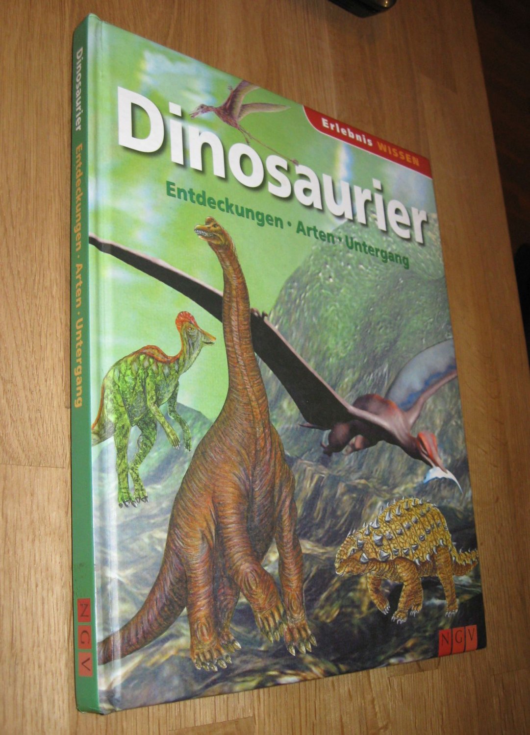 Dinosaurier ; Entdeckungen - Arten - Untergang , - Diverse