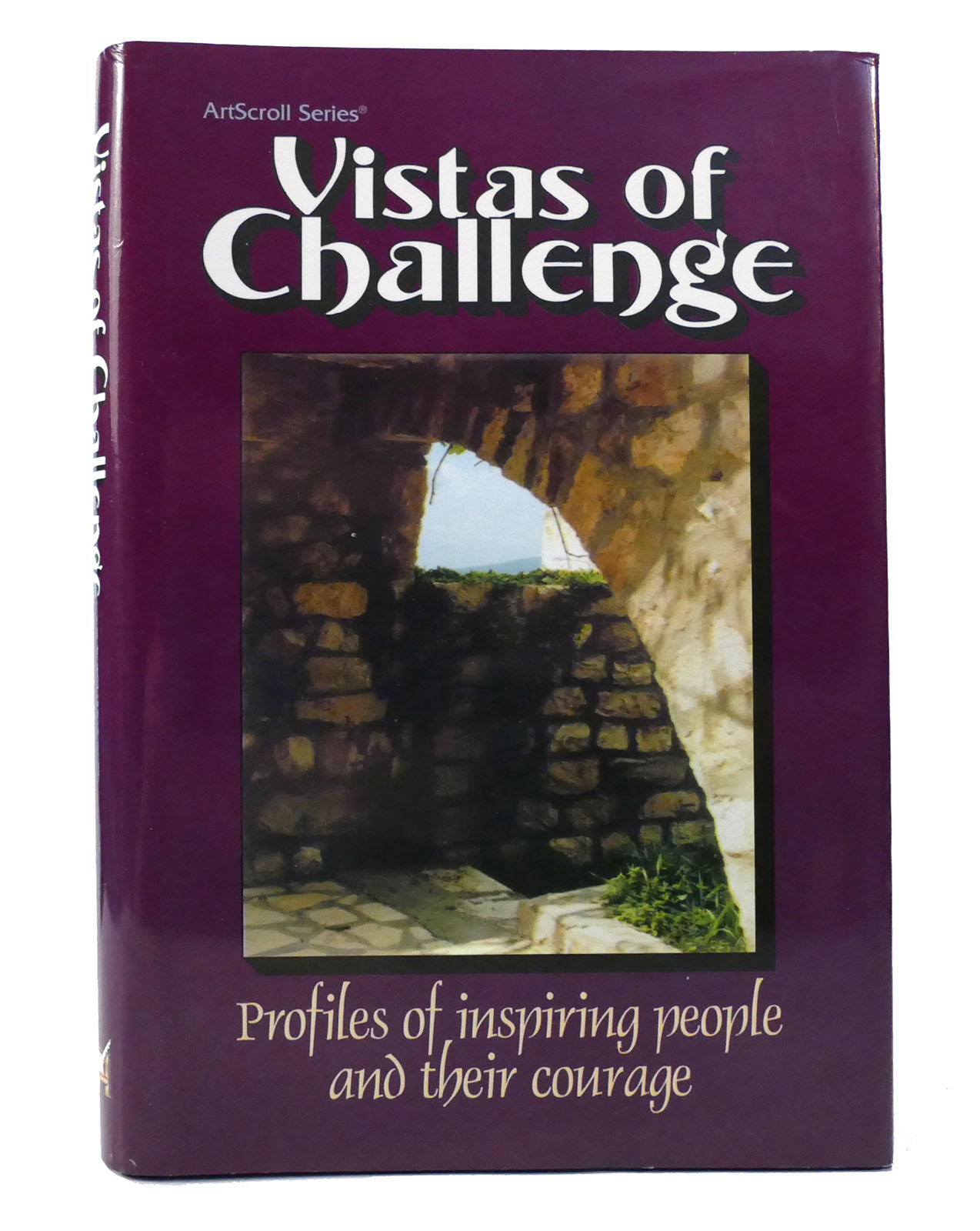 ARTSCROLL Vistas of Challenge - Seryl Sander
