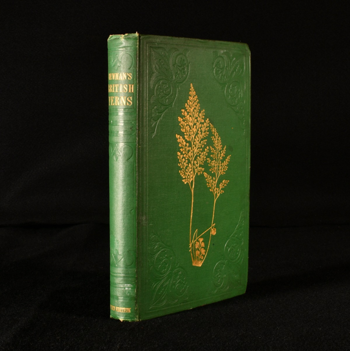 A History of British Ferns - Edward Newman