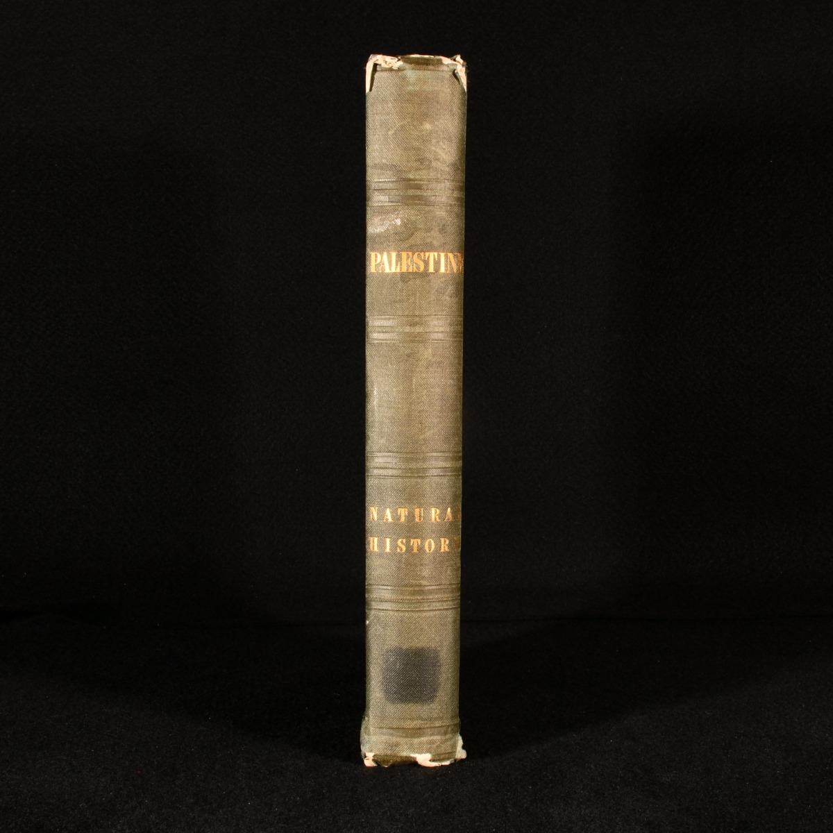 John Kitto / Palestine: the Bible history of the Holy Land パレスチナ 聖書 歴史 イスラエル Israel 宗教 John Kitto / Palestine: the Bible history of the Holy Land パレスチナ 聖書 歴史 イスラエル Israel 宗教