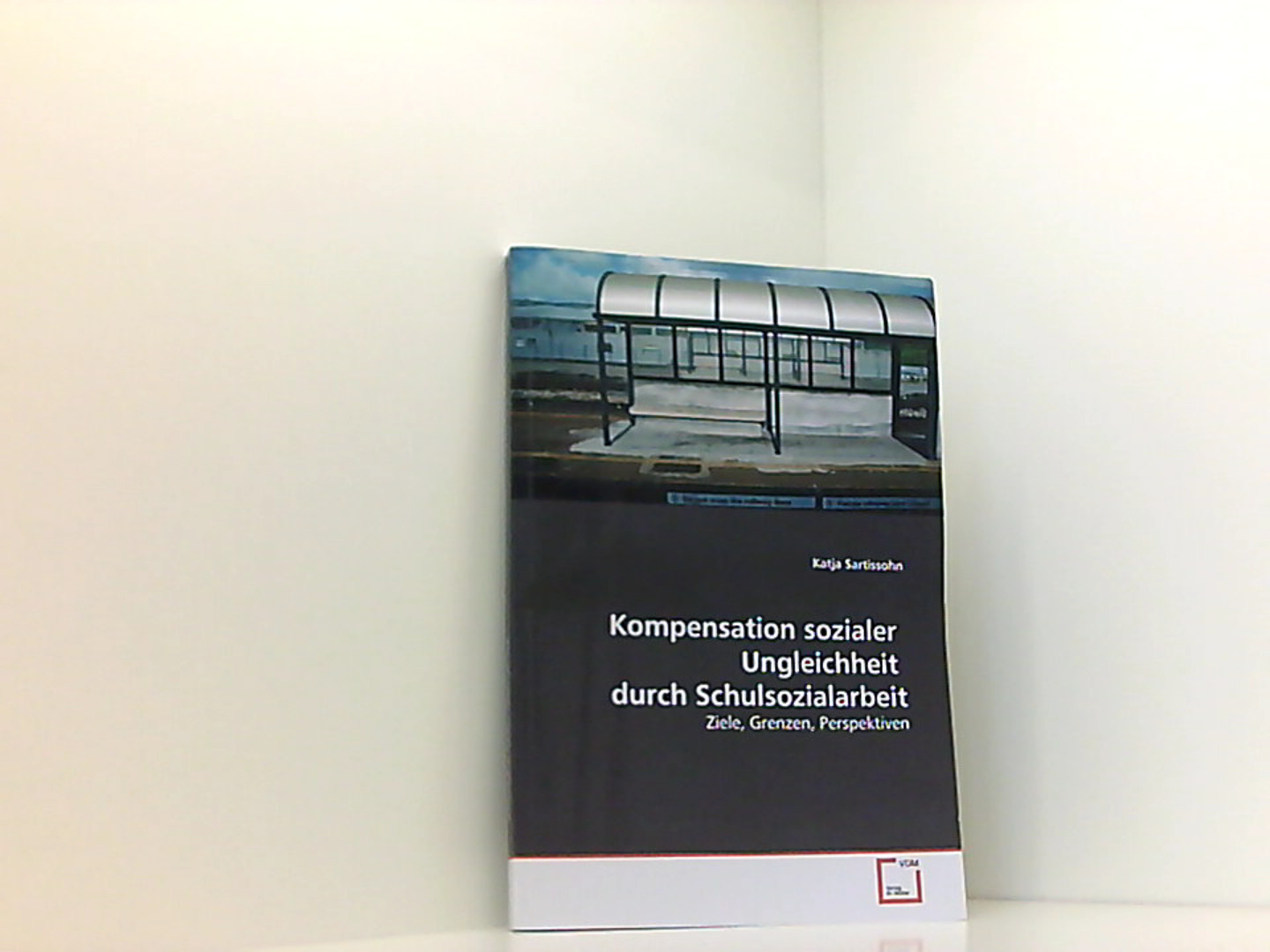 Kompensation sozialer Ungleichheit durch Schulsozialarbeit: Ziele, Grenzen, Perspektiven - Sartissohn, Katja