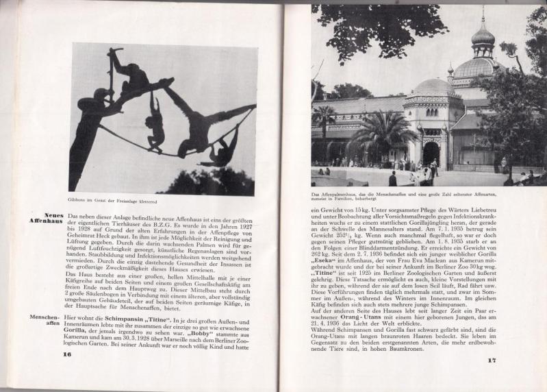 Wegweiser durch den Zoologischen Garten Berlin ( 1936 ). by Zoo Berlin