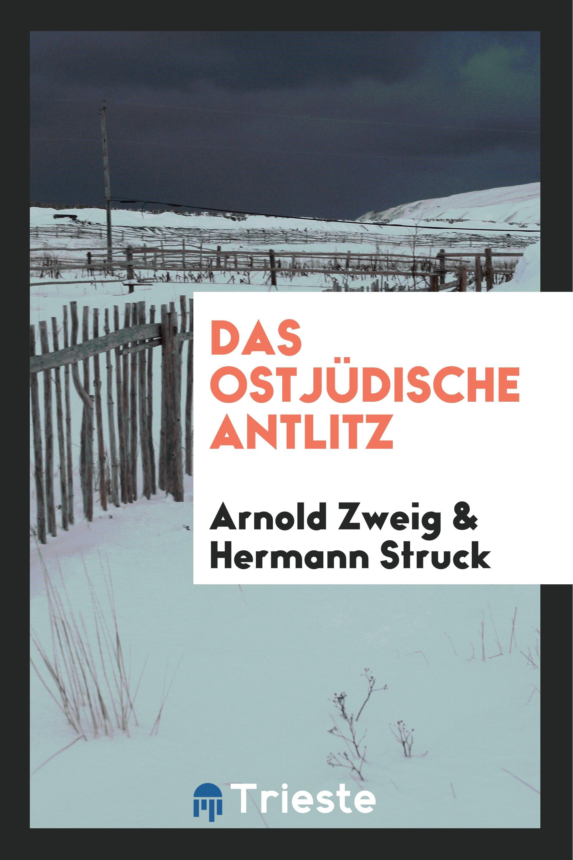 Zweig, A: Das ostjÃ¼dische Antlitz - Zweig, Arnold|Struck, Hermann