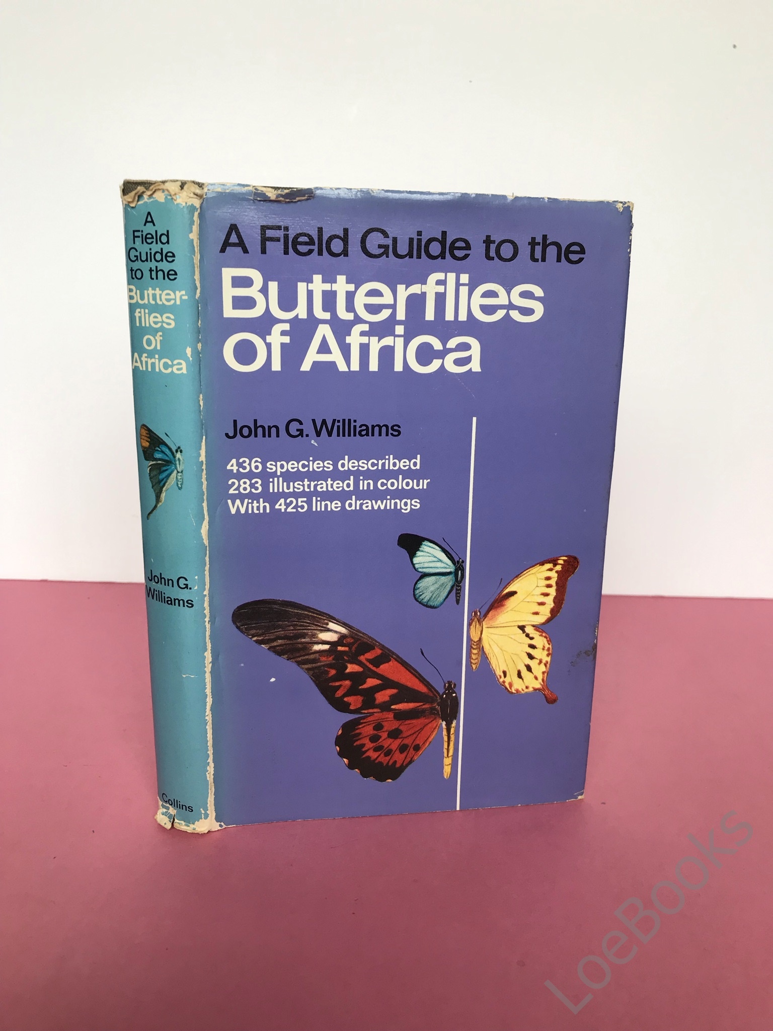 A FIELD GUIDE TO THE BUTTERFLIES OF AFRICA Signed and Inscribed By the Author; Association Copy] Williams, John G. [Very Good] [Hardcover]