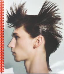 HAIRTESTS by GUIDO PALAU: As New Soft cover (2021) 1st Edition 