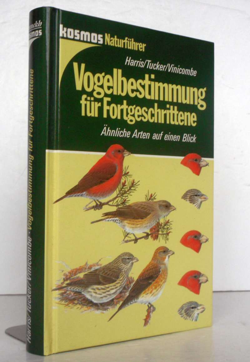 VOGELBESTIMMUNG FÜR FORTGESCHRITTENE. Ähnliche Arten auf einen Blick. - Harris, Alan; Tucker, Laurel; Vinicombe, Keith