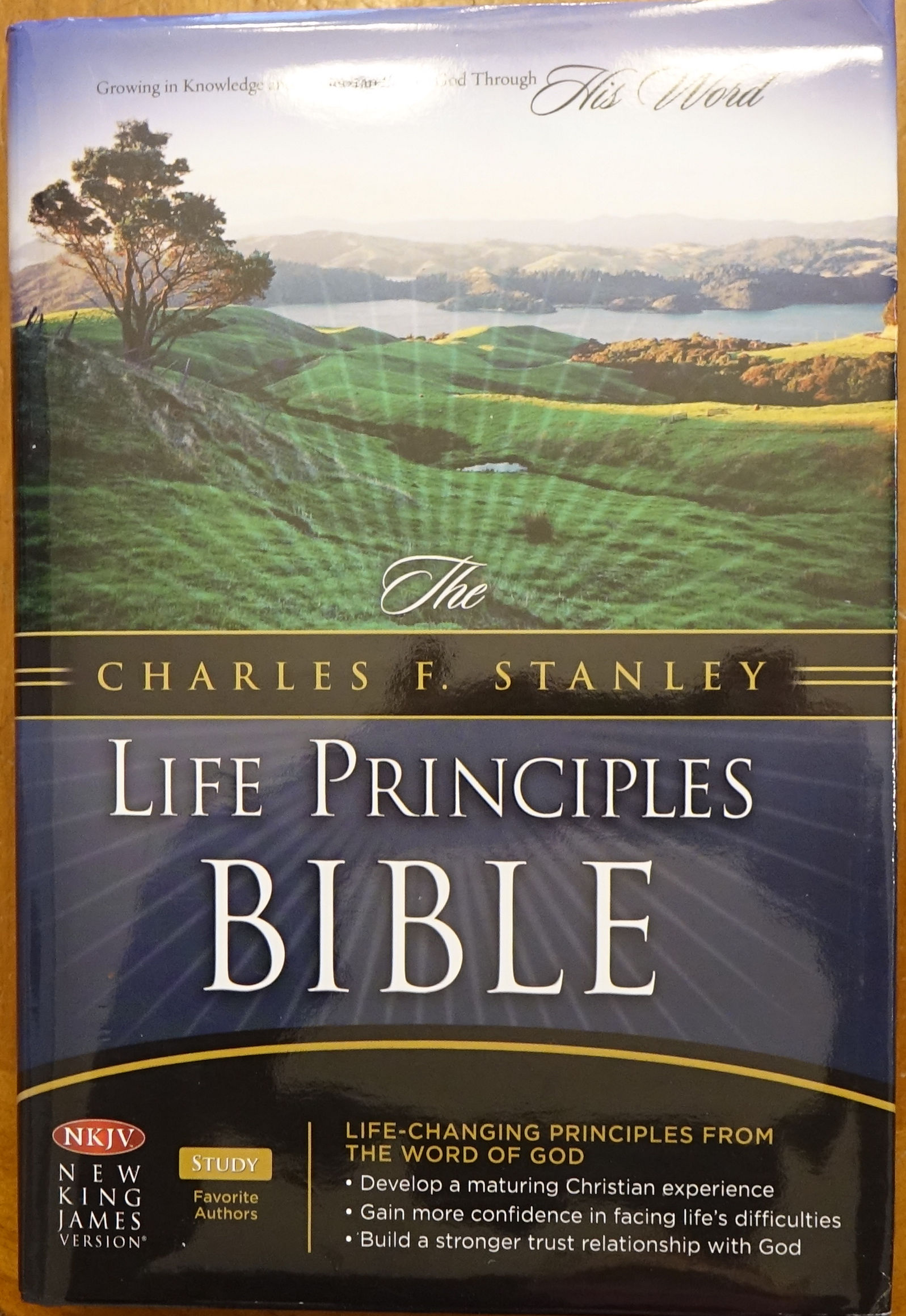 The Charles F. Stanley Life Principles Bible - New King James Version - n/a