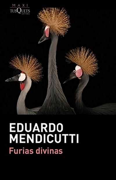 Furias divinas (MAXI) - Eduardo Mendicutti