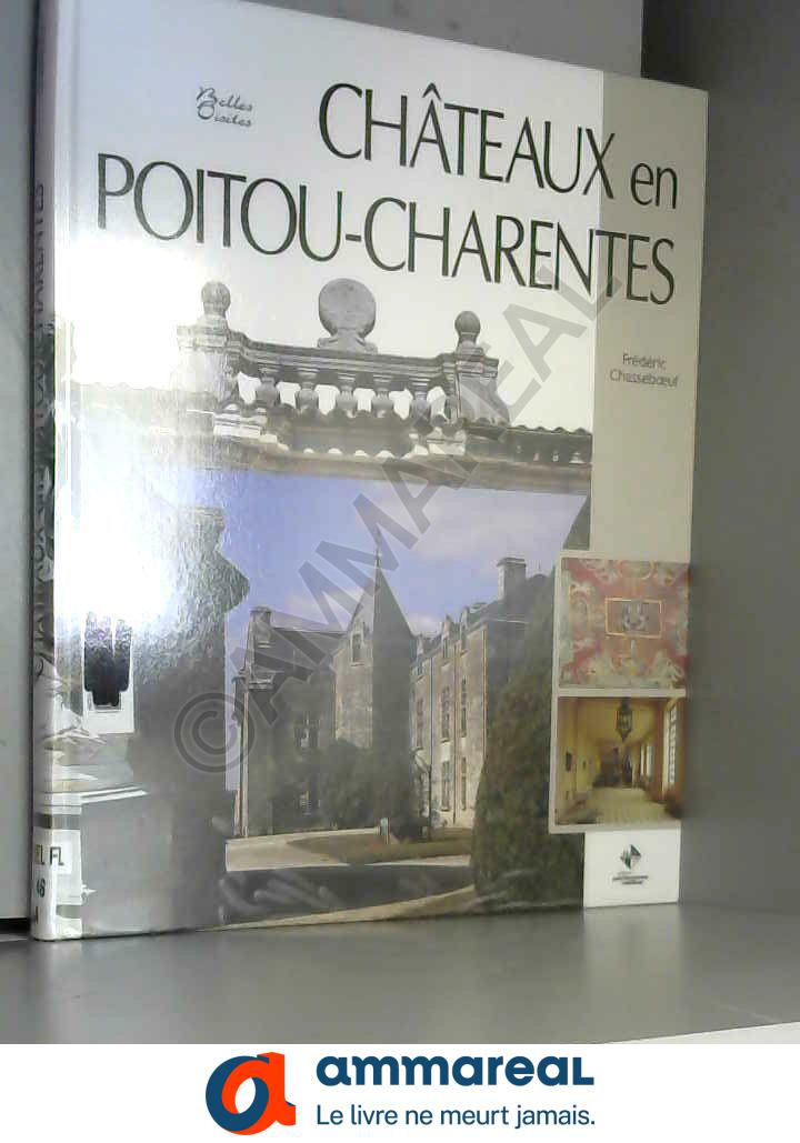 Chateaux en Poitou Charentes