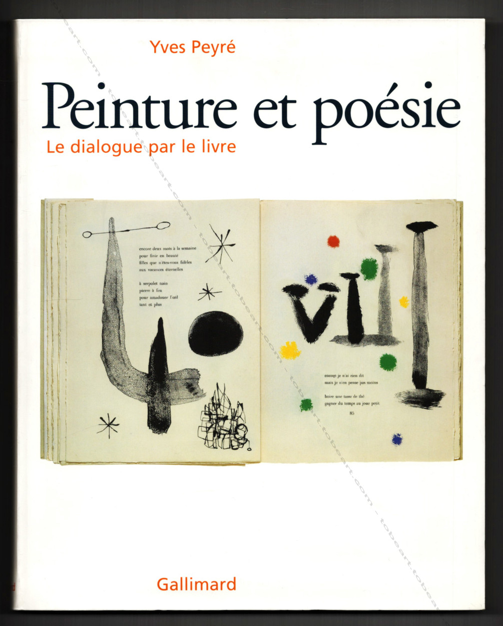 Peinture et poesie - le dialogue par le livre (1874-2000) - Yves Peyré -  Gallimard - Beaux-livres - Librairie Gallimard PARIS