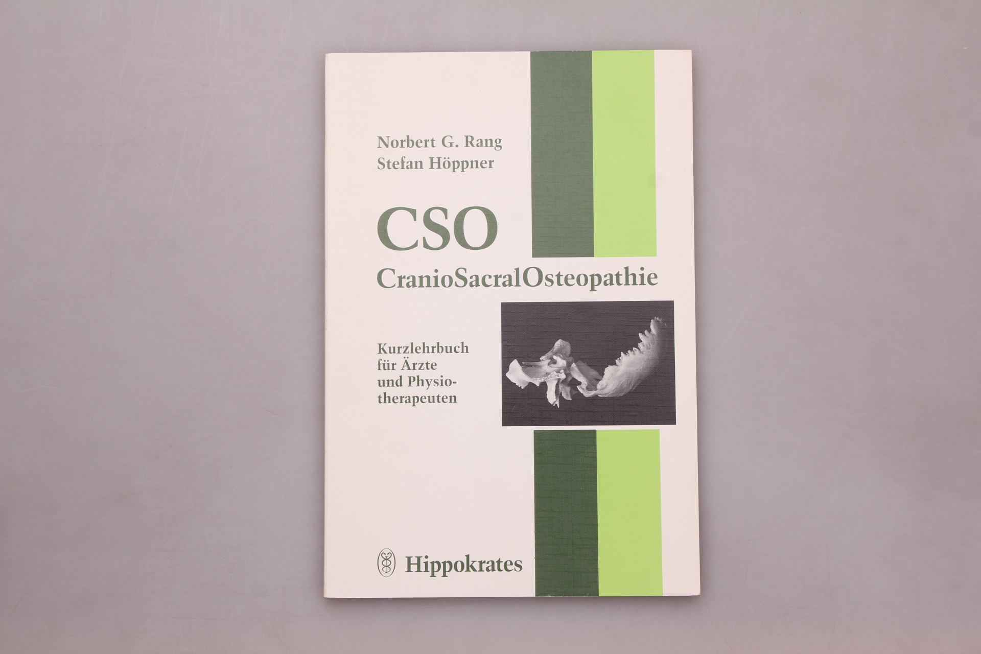 CSO CRANIOSACRALOSTEOPATHIE. Kurzlehrbuch für Ärzte und Physiotherapeuten - Rang, Norbert Gilbert; Höppner, Stefan;