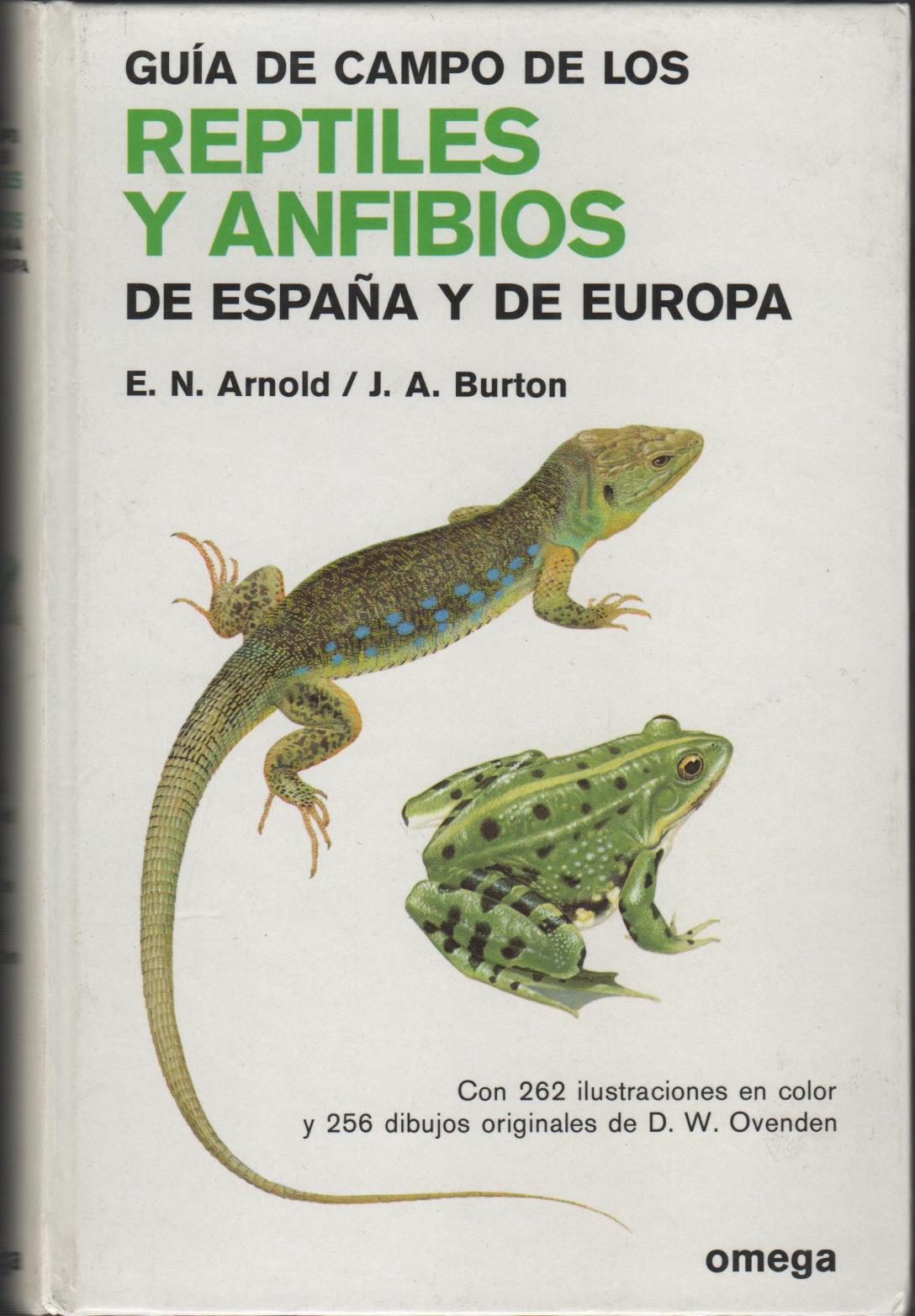 GUÍA DE CAMPO DE LOS REPTILES Y ANFIBIOS DE ESPAÑA Y DE EUROPA - E.N. ARNOLD J.A, BURTON -