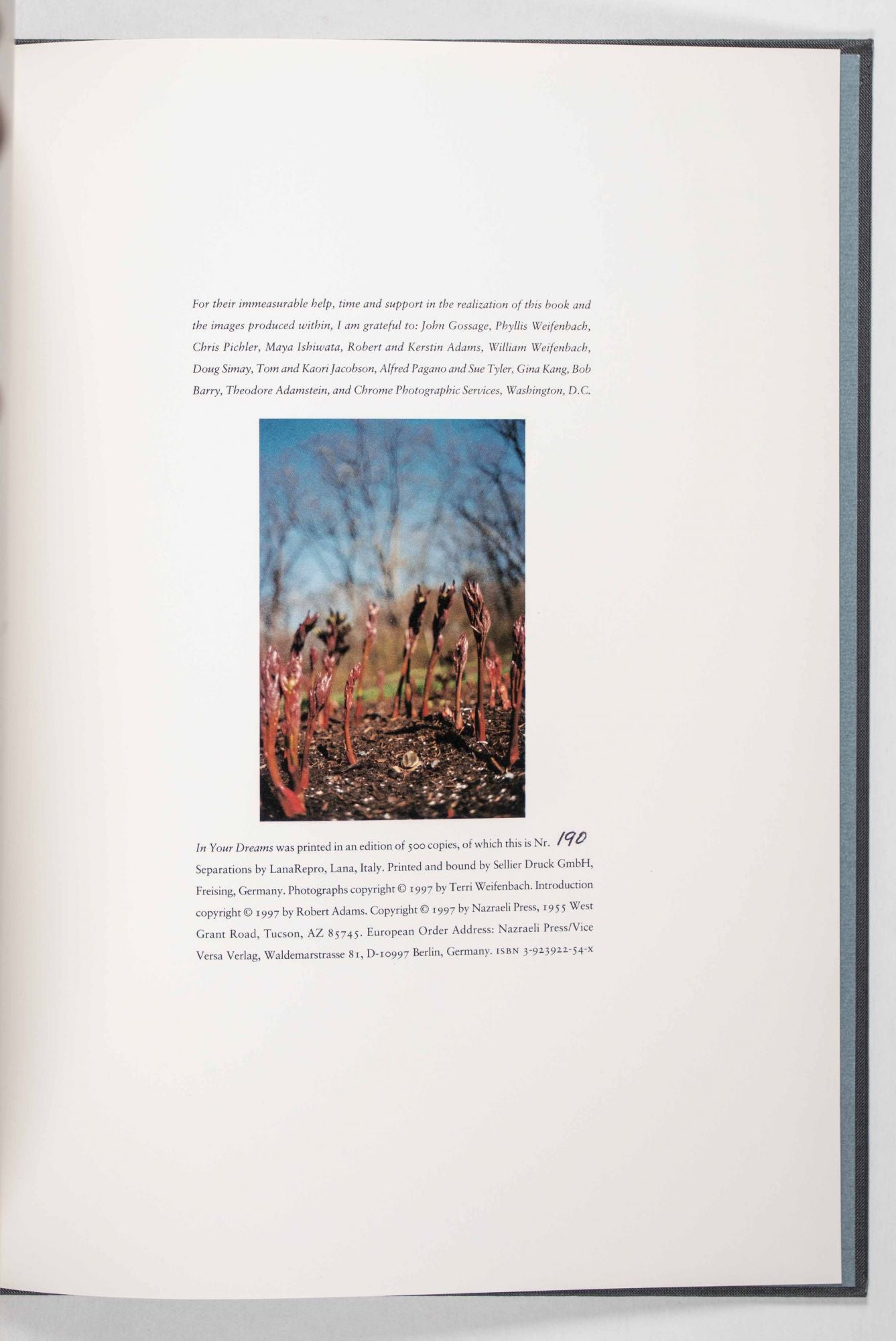 Terri Weifenbach In Your Dreams 1st Edition Photo Book
