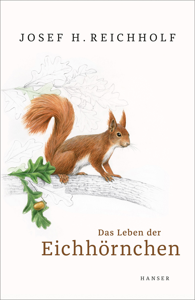 Das Leben der Eichhörnchen. - Josef H. Reichholf