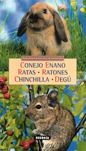 Conejo enano, ratas, ratones, chinchilla, degú - Hubert, Marie Luce/ Klein, Jean Louis