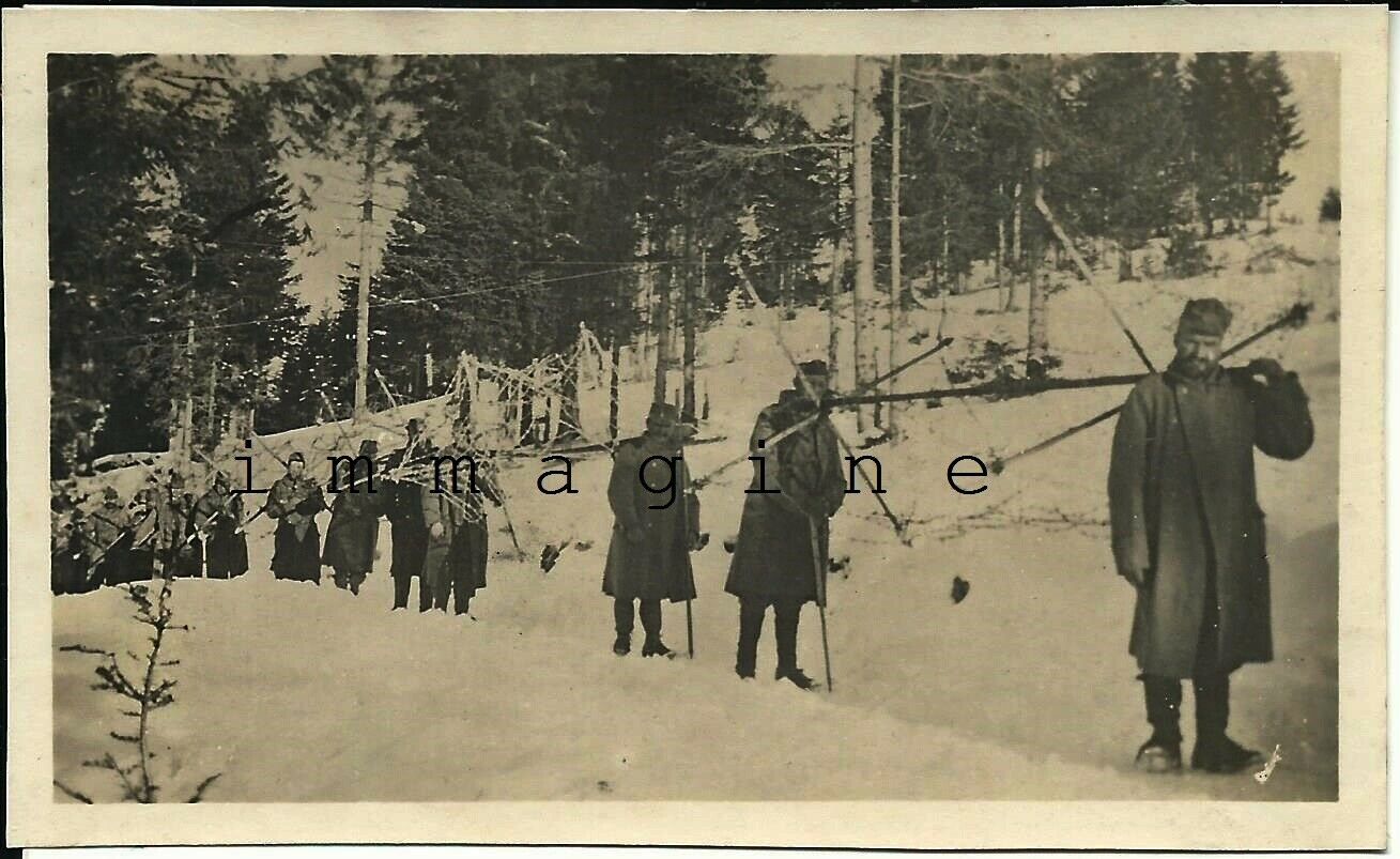 Abebooks Rara foto originale Difese militari austriache/Cavalli di Frisia 1916