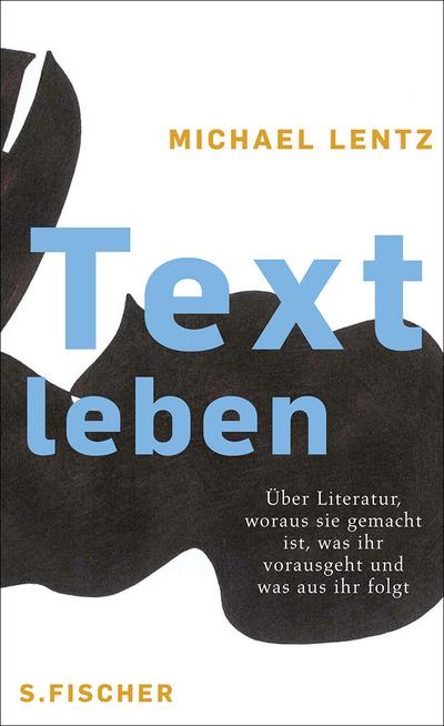 Textleben: Über Literatur, woraus sie gemacht ist, was ihr vorausgeht und was aus ihr folgt - Michael Lentz
