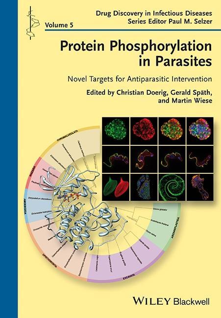 Protein Phosphorylation in Parasites - Doerig, Christian|Spaeth, Gerald|Wiese, Martin|Selzer, Paul M.