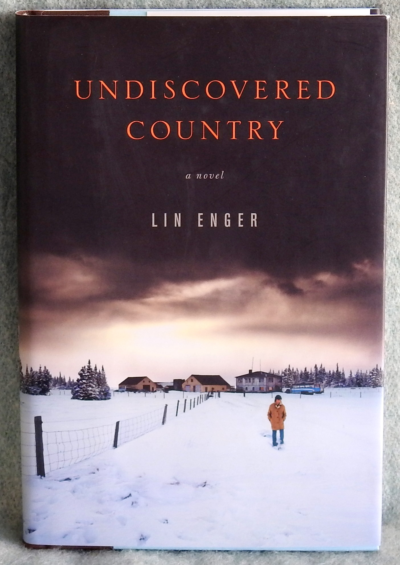 Undiscovered Country: A Novel - Lin Enger