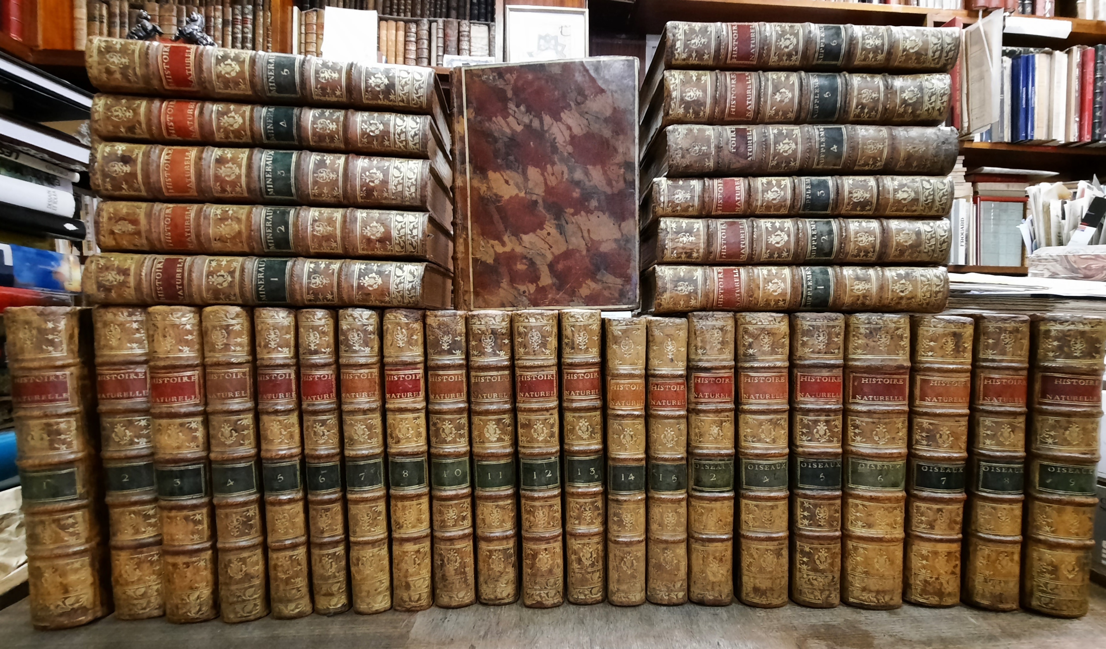 Histoire Naturelle, générale et particulière, avec la description du cabinet du Roi. (33 volumes) - Buffon, Georges Louis le Clerc, comte de