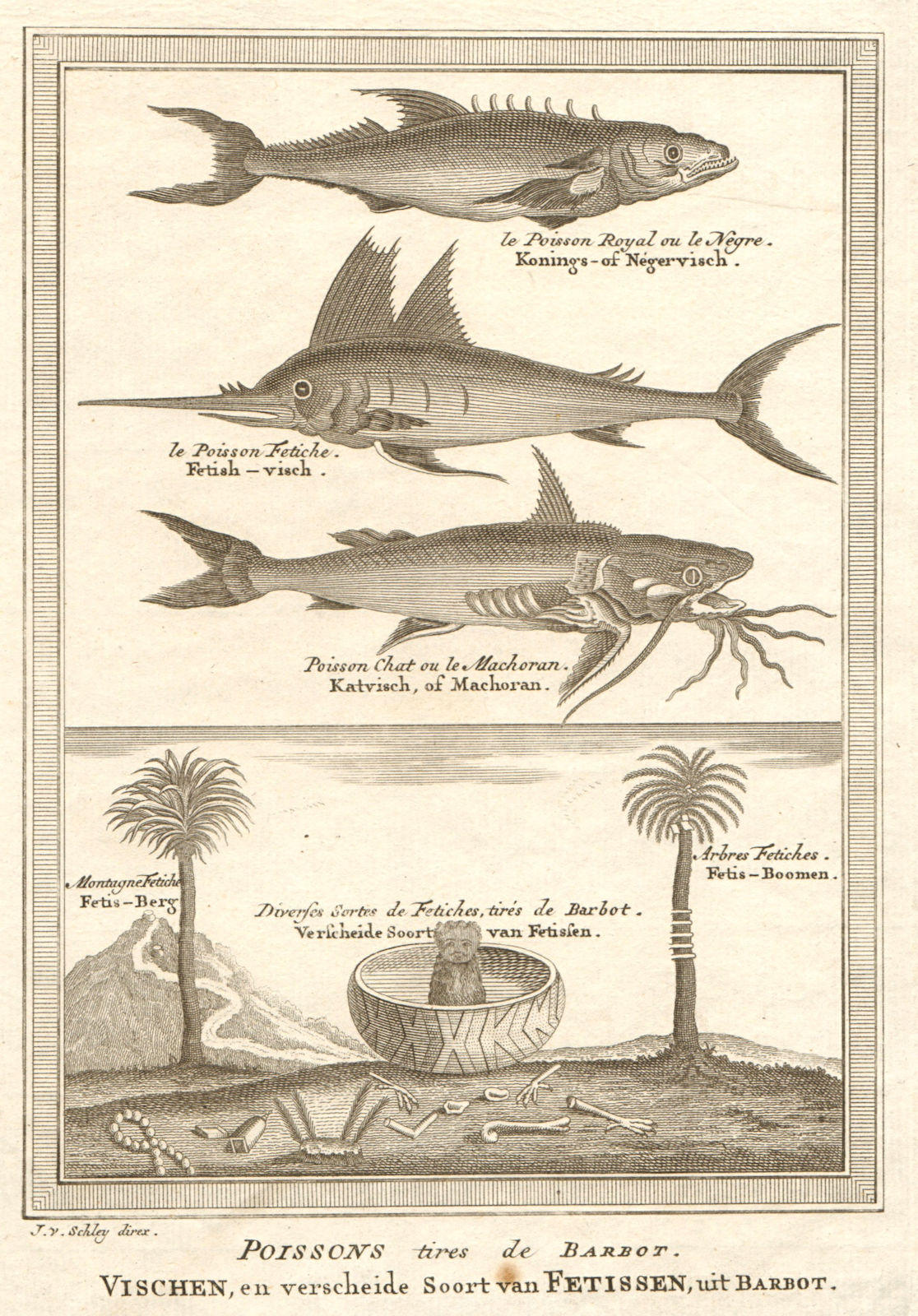 Poissons Tires De Barbot Le Poisson Royal Ou Le Negre Le Poisson Fetiche Poisson Chat Ou Le Machoran Montagne Fetiche Arbres Fetiches Diverses Sortes De Fetiches Tires De Barbot Fish Drawn From