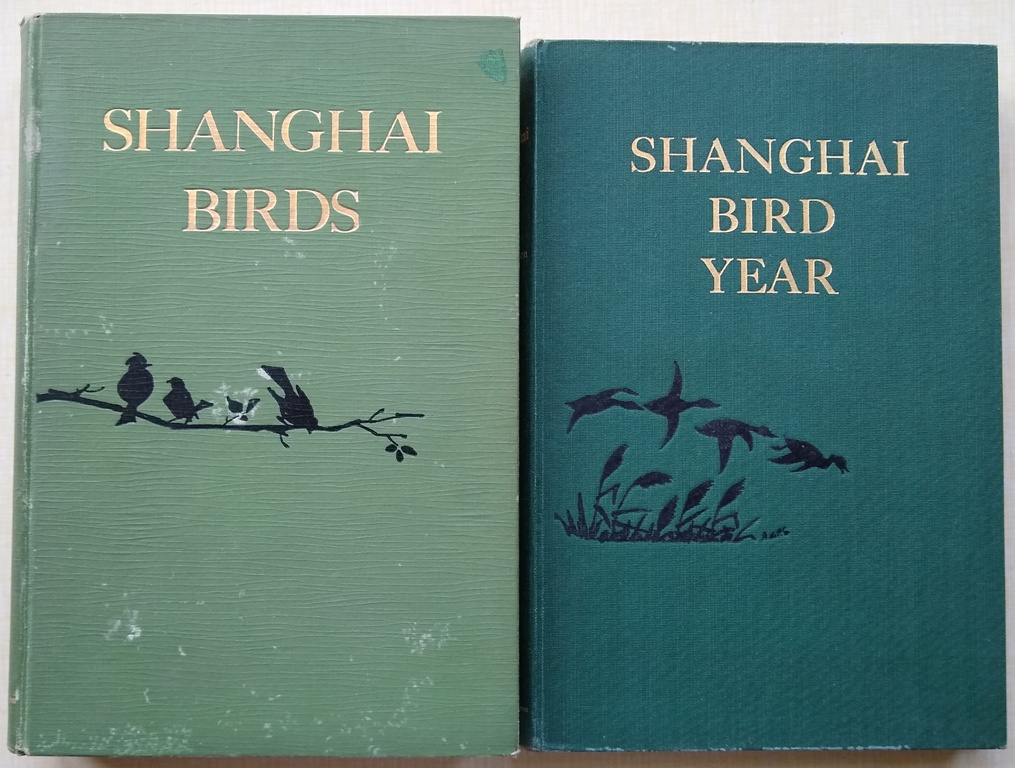 100年前の古書希少1923年Birds and their young
