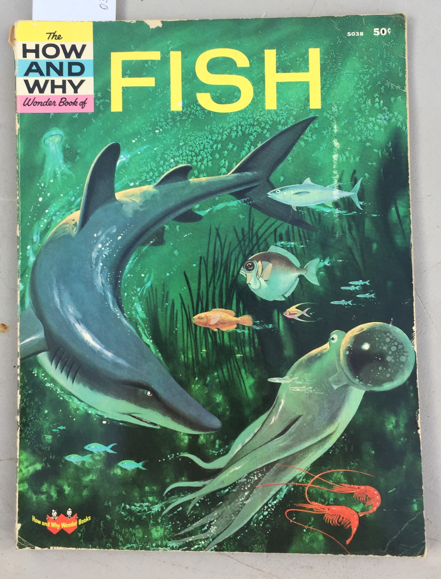 The how and why wonder book of fish no 5038 in series by coe