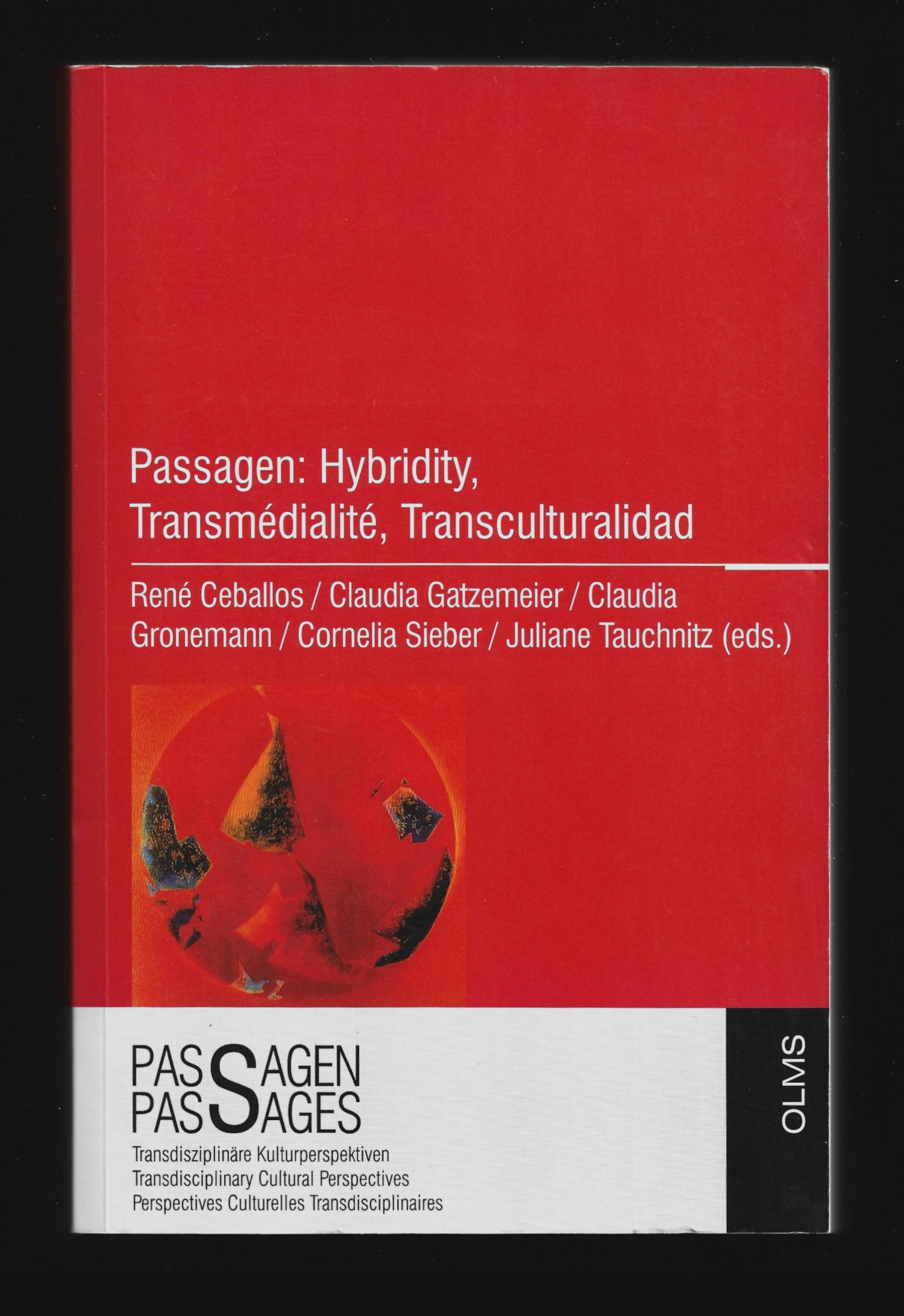 Passagen: Hybridity, Transmédialité, Transculturalidad (Passagen-Passages: Transdisziplinäre Kulturperspektiven / Transdisciplinary Cultural Perspectives / Perspectives Culturelles Transdisciplinaires) - René Ceballos; Claudia Gatzemeier; Claudia Gronemann; Cornelia Sieber; Juliane Tauchnitz; Burkhard Jung (Foreword)