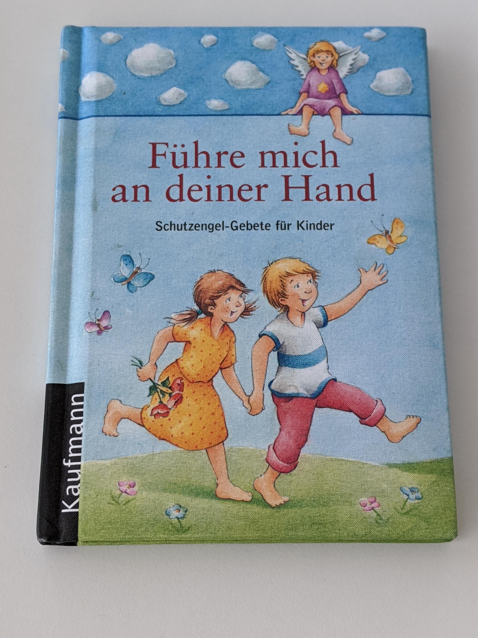 Führe mich an deiner Hand - Schutzengel-Gebete für Kinder - Martinelli, Vera (Herausgeber) und Stefan (Mitwirkender) Horst
