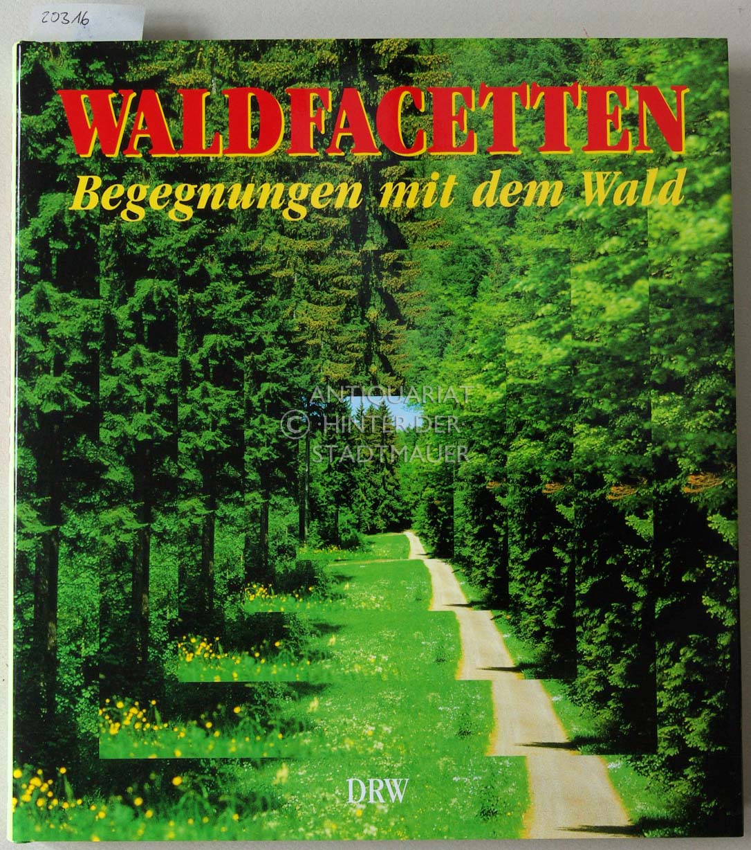 Waldfacetten: Begegnungen mit dem Wald. Hrsg. v. Deutschen Forstverein. Mit Beitr. v. Arnim Basche, .