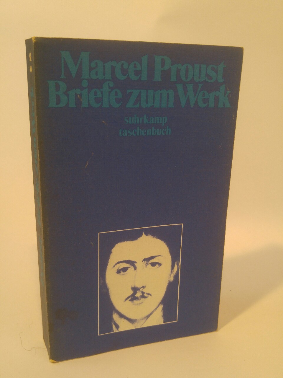 Briefe zum Werk. Mit Anhang, Nachbemerkungen, Zeittafel und Werkregister - Proust, Marcel