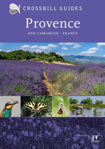 Provence : And Camargue, France - Albert Vliegenthart