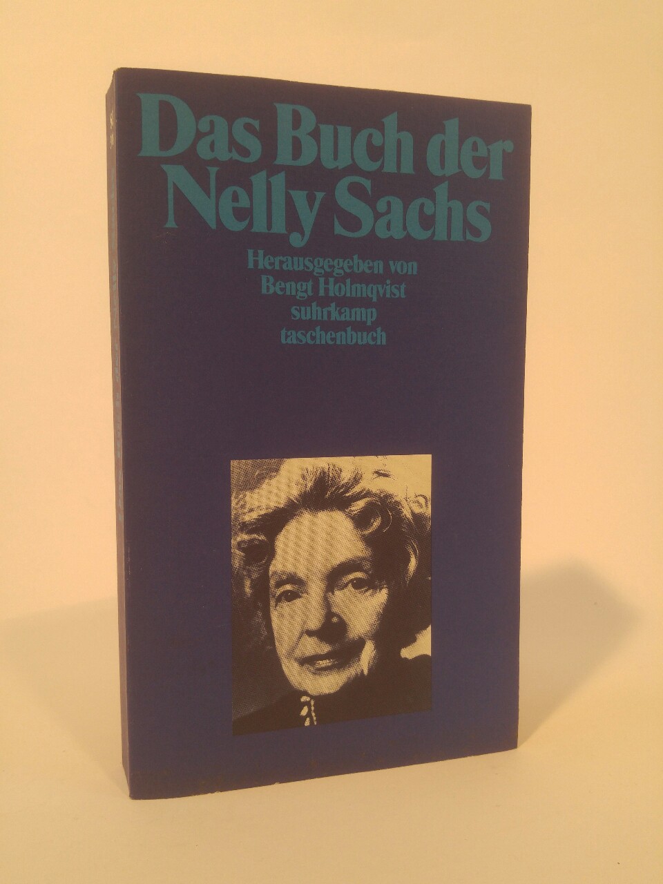 Das Buch der Nelly Sachs - Sachs, Nelly und Bengt Holmqvist (Hrsg.)