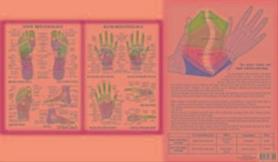 Hand & Foot Reflexology -- A4 - Jan Baarle (author)