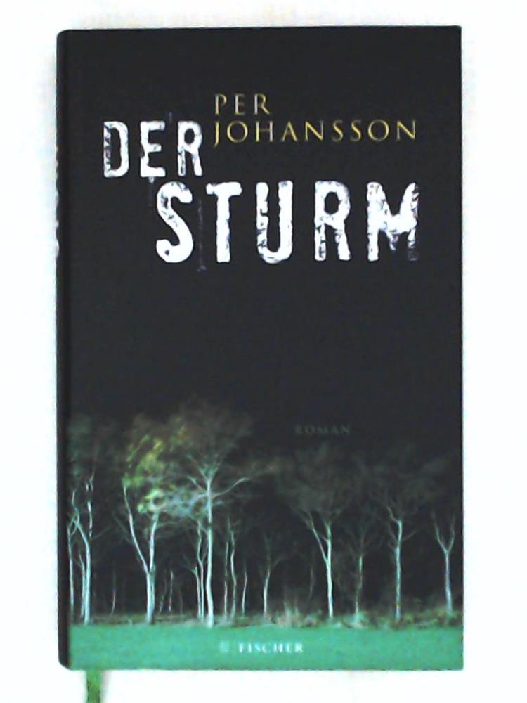 Der Sturm: Roman (Fischer HC) - Johansson, Per