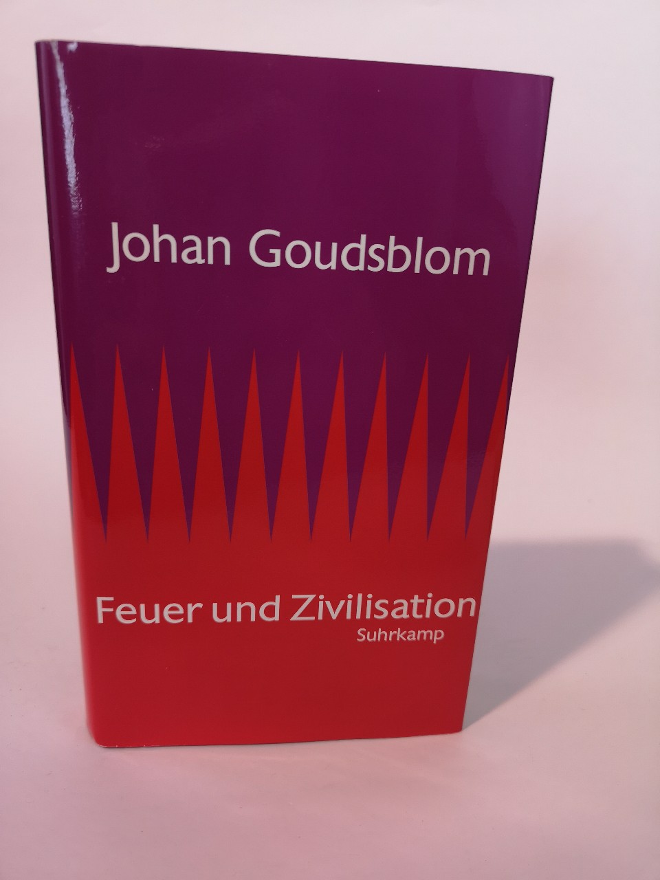 Feuer und Zivilisation [Neubuch] - Goudsblom, Johan und Heike Hammer