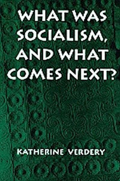 What Was Socialism, and What Comes Next? - Katherine Verdery