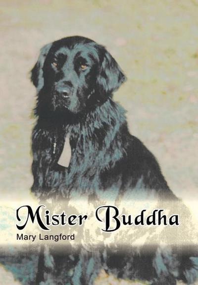 Mister Buddha - Mary Langford