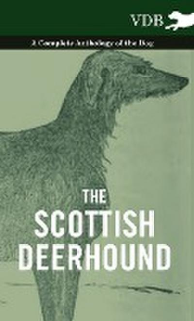 The Scottish Deerhound - A Complete Anthology of the Dog - Various