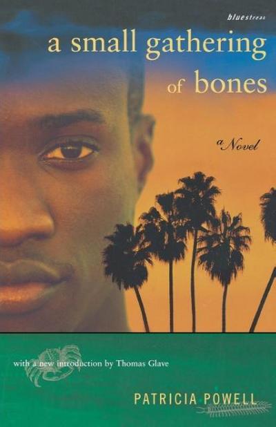 A Small Gathering of Bones - Patricia Powell