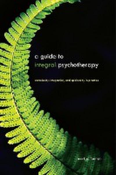 Guide to Integral Psychotherapy, A - Mark D. Forman