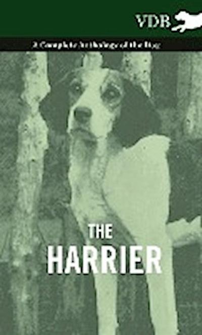 The Harrier - A Complete Anthology of the Dog - Various