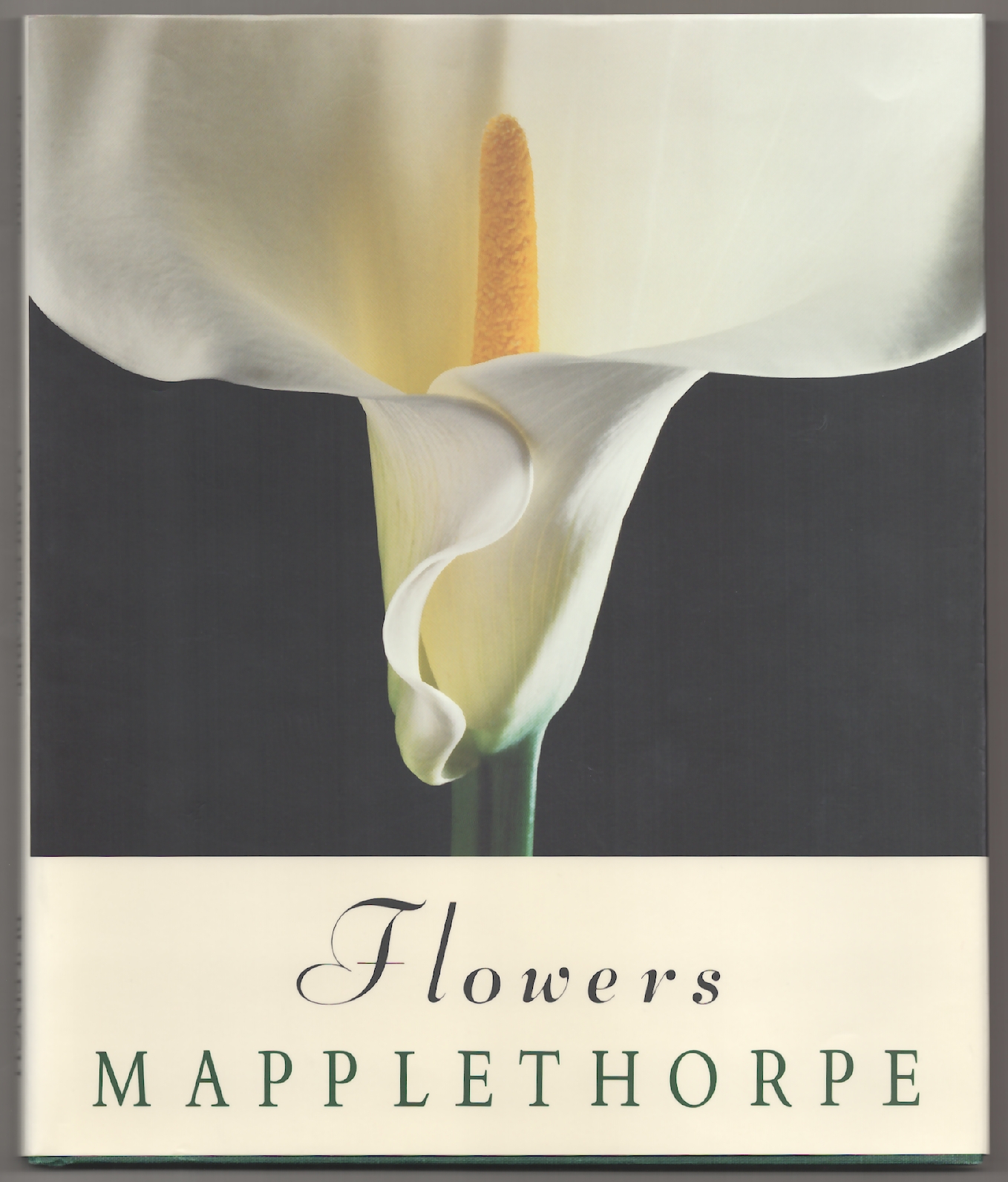 Flowers - MAPPLETHORPE, Robert